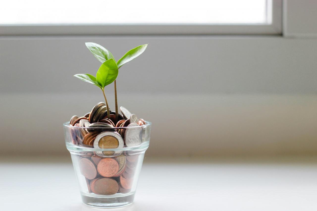 Best Safe Investments During High Market Volatility